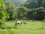 dscf7144