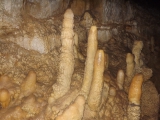 dscf7567