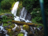 dscf7962