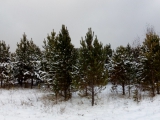 img_20151012_171234