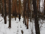 img_20151012_172754