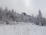 img_20151013_142959